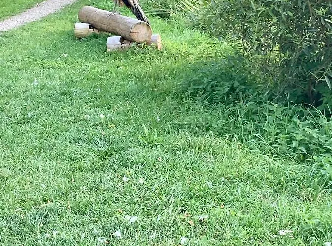 Affittacamere Bořeňovice 3*