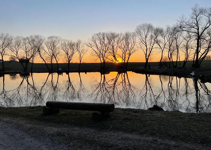 Pensionat Borenovice 3*